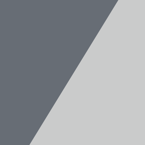 GREY/SILVER